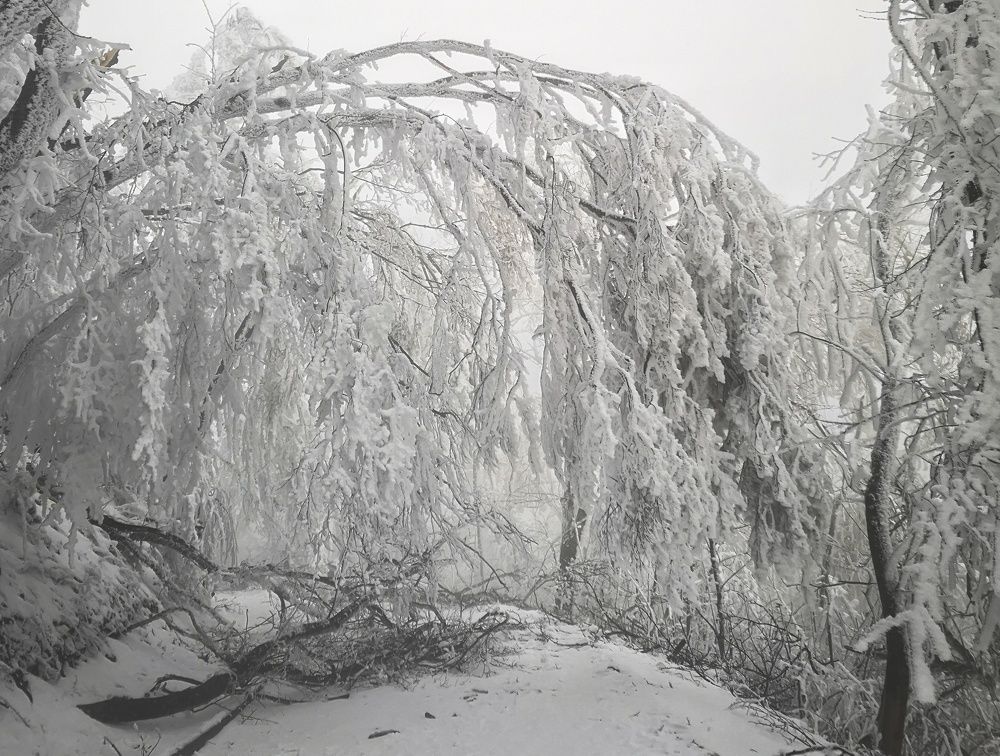 Фотография автора Владимир Кривенко