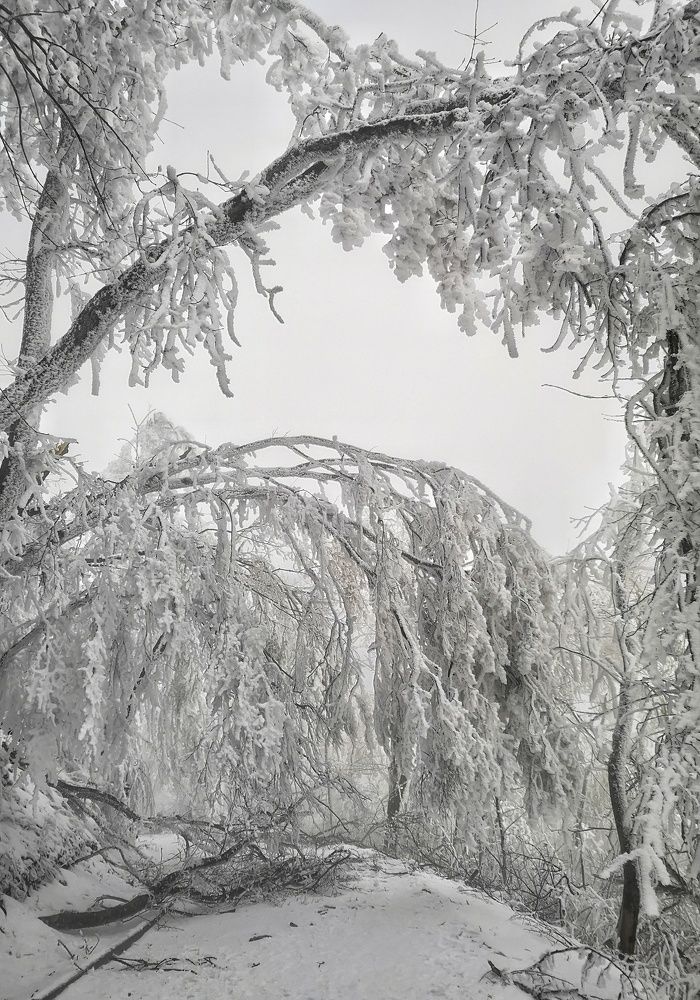 Фотография автора Владимир Кривенко