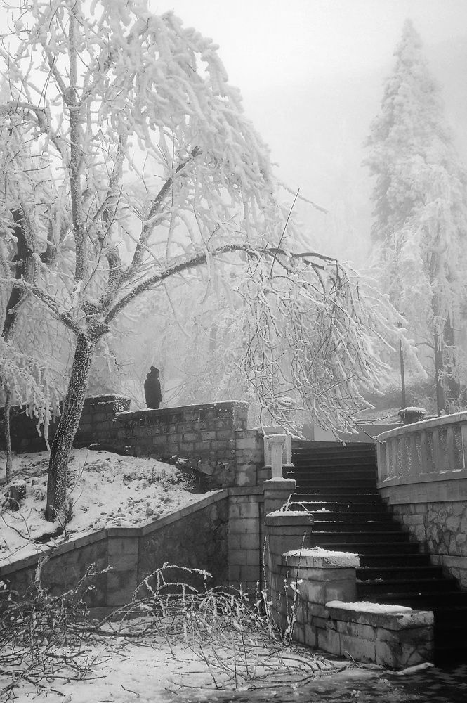 Photograph by Владимир Кривенко