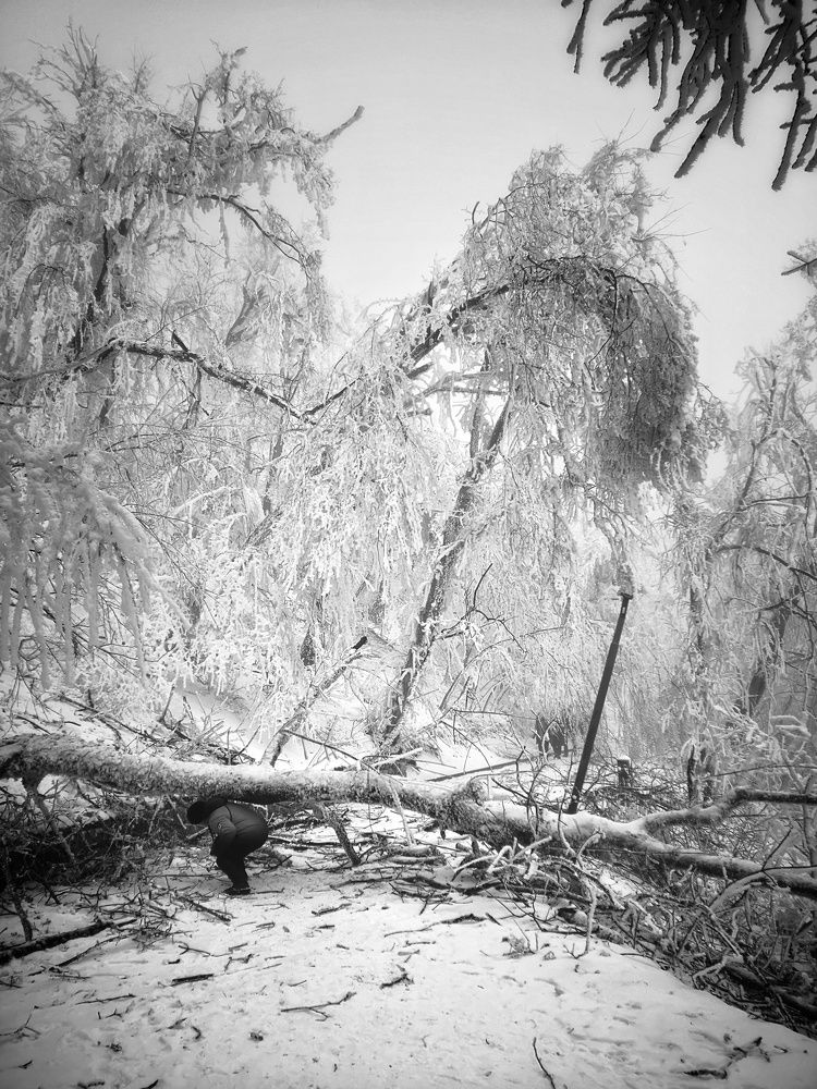 Фотография автора Владимир Кривенко