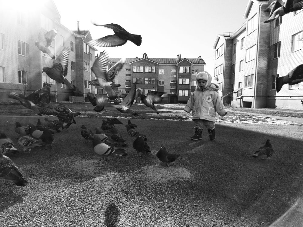 Photograph by Мария Кобыльченко