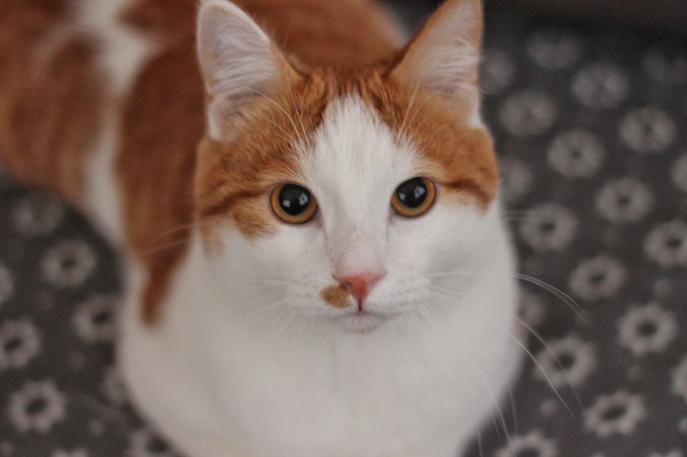 Ныряй в мой тихий омут глаз!