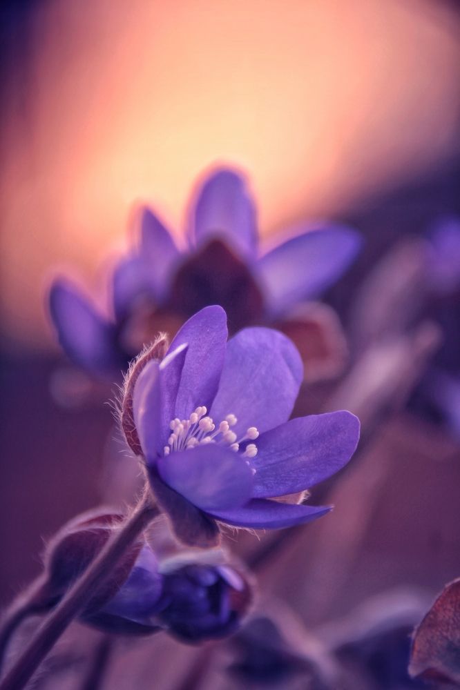 Photograph by Никита Брутман Broutman