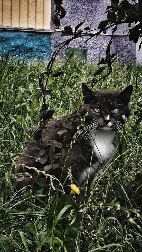 Photograph by Marta Litvinava