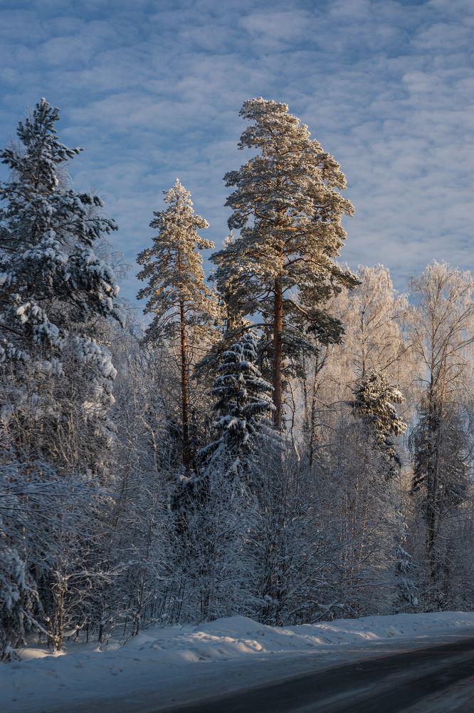 Photograph by Елена Баженова