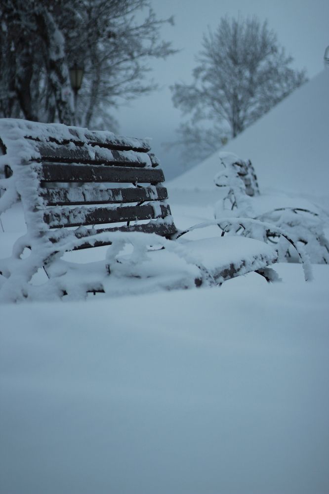 Фотография автора Алла Макаревич