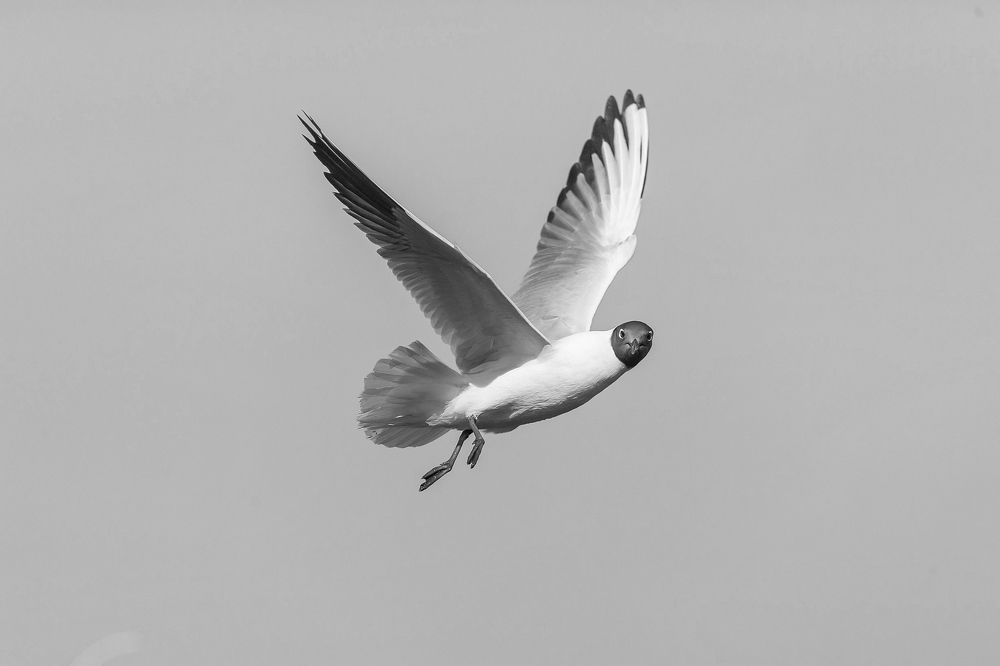 Фотография автора Игорь Ефремычев