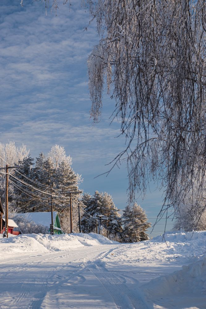 Photograph by Елена Баженова