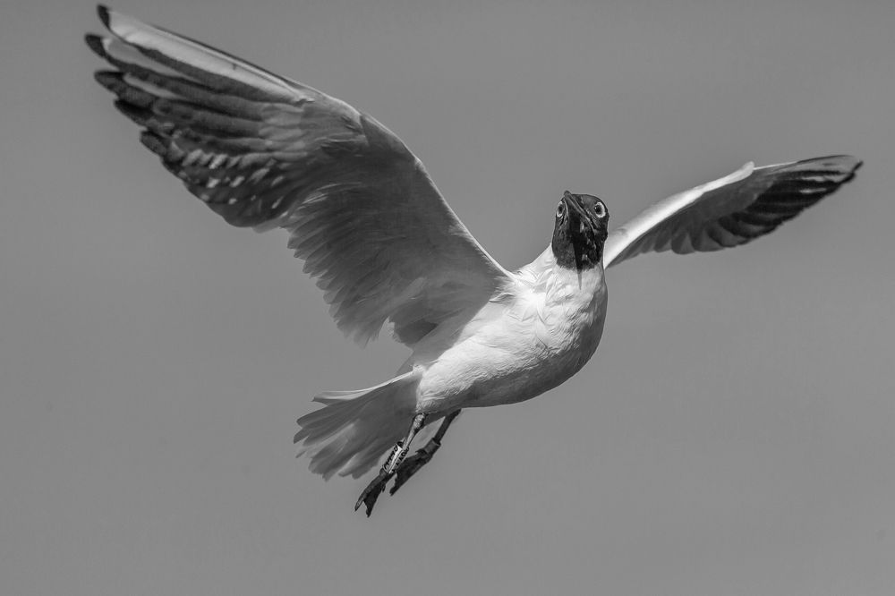 Фотография автора Игорь Ефремычев