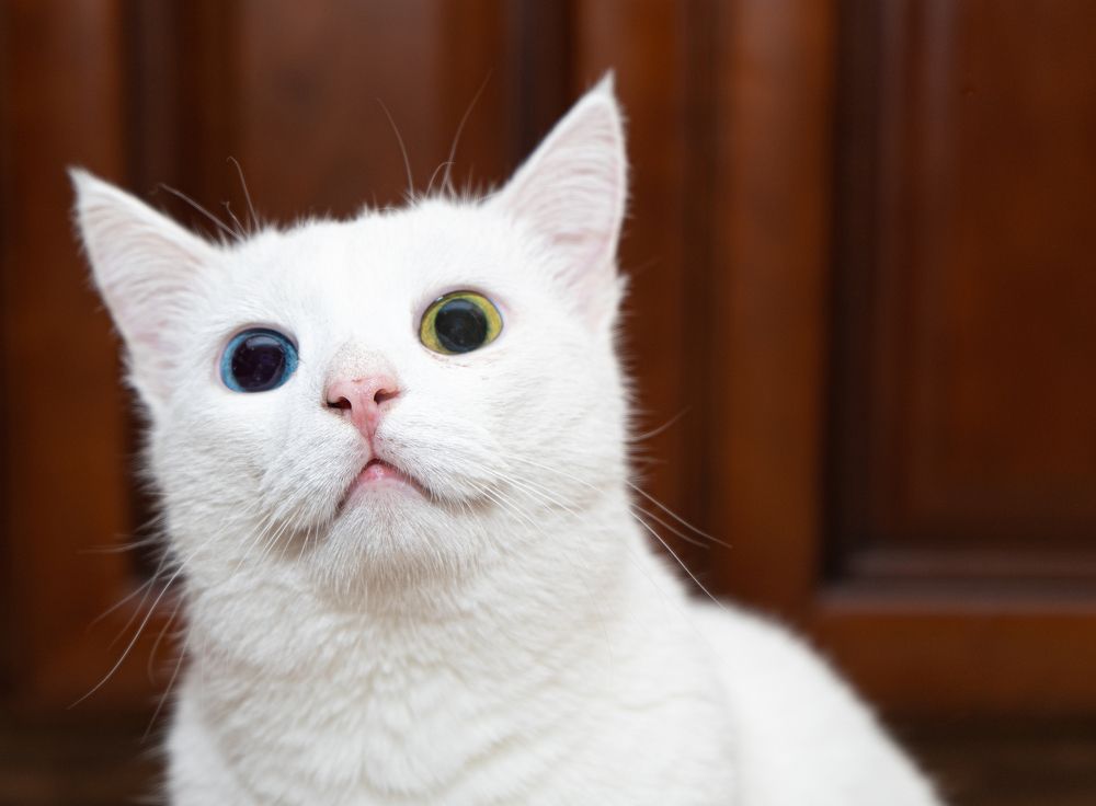 Photograph by Мария Паина