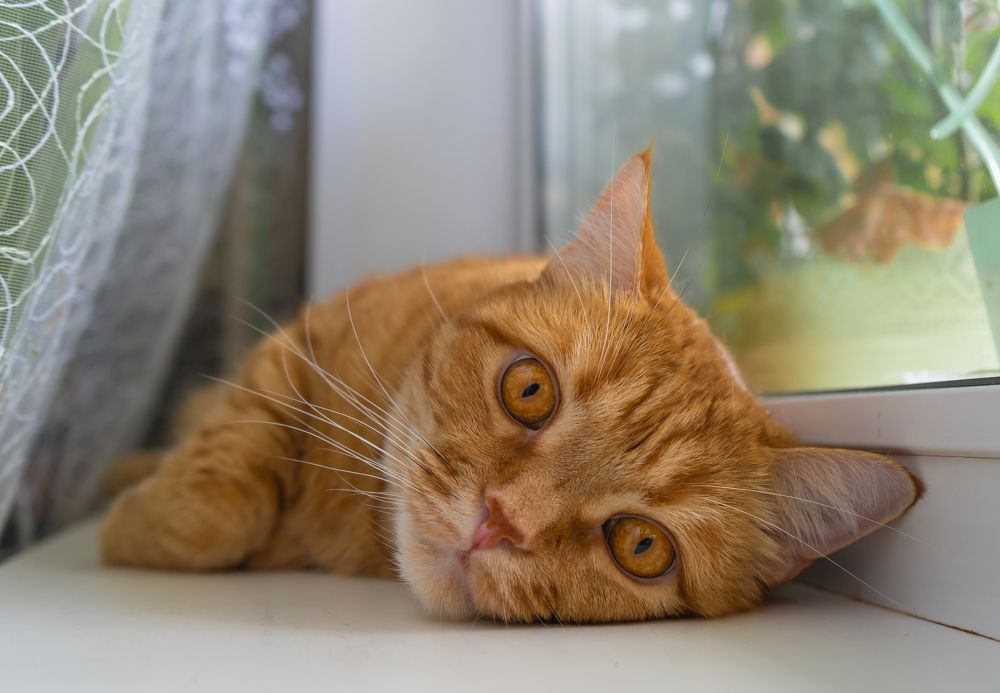 Photograph by Мария Паина