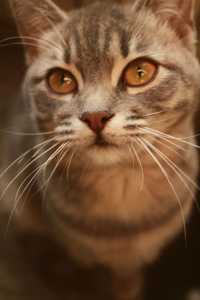 Photograph by Галина Рудас