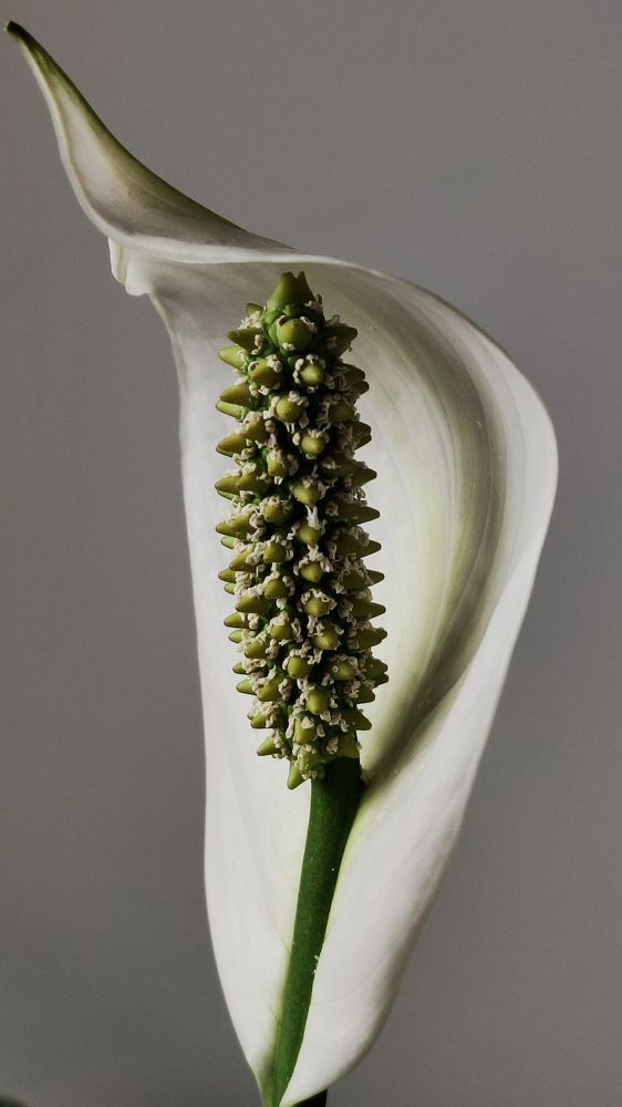 Photograph by Татьяна Парамонова