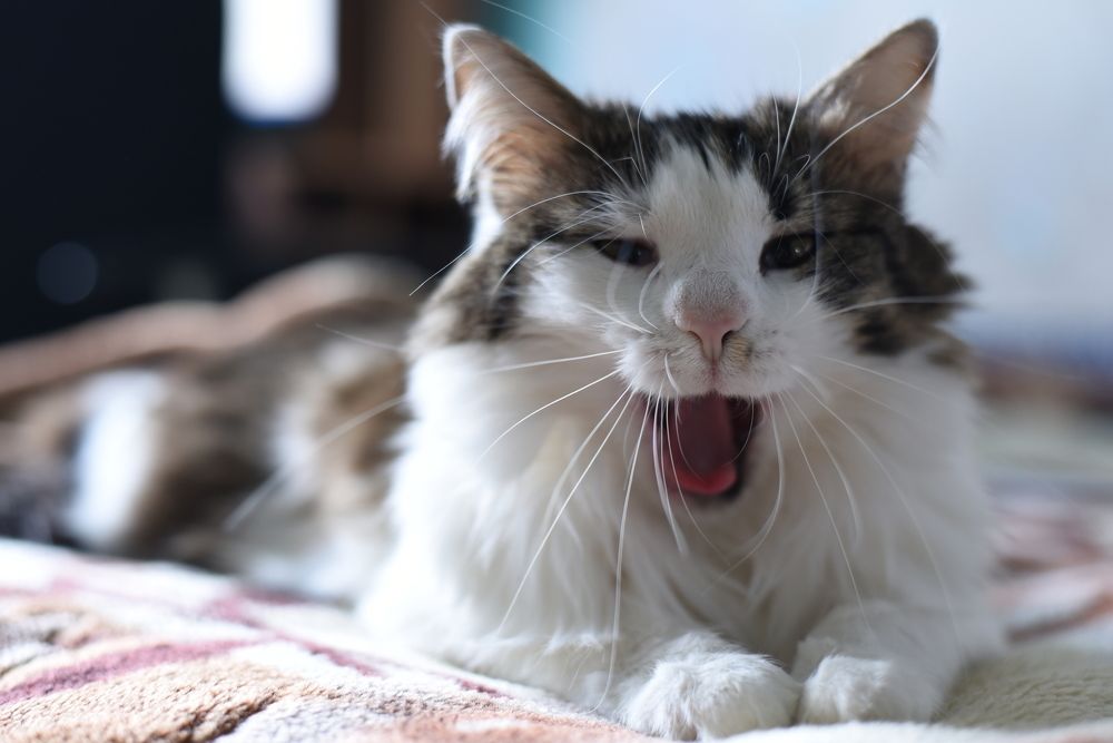 Photograph by Наталья Ивочкина