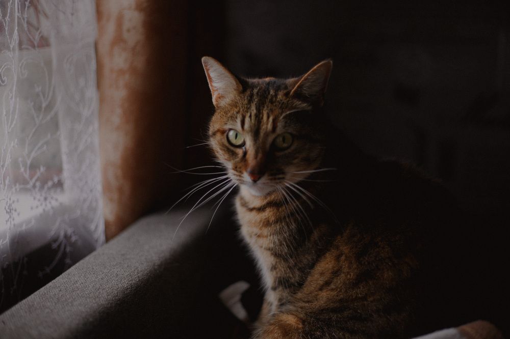 Фотография автора Наталья Вербина