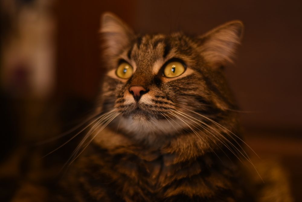 Photograph by Наталья Ивочкина