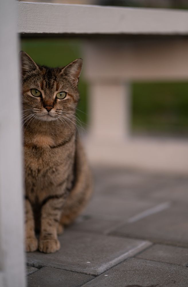 Photograph by Ксения Часова