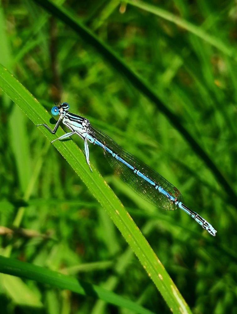 Photograph by Евгений Пигарёв