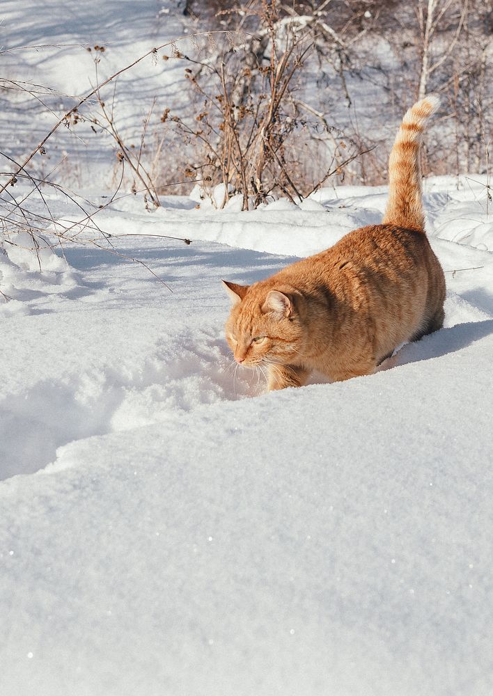Photograph by Татьяна Суржанская