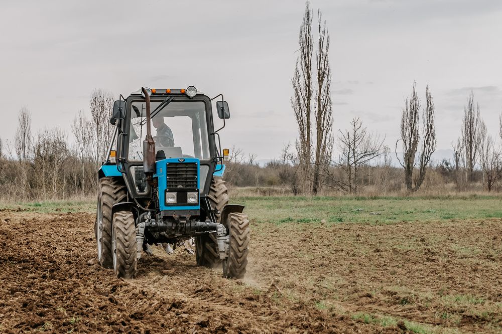 Photograph by Ксения Гасица