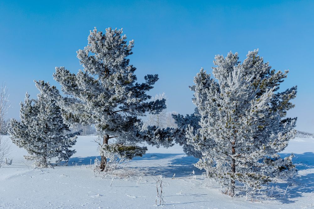 Photograph by Евгений Голубев