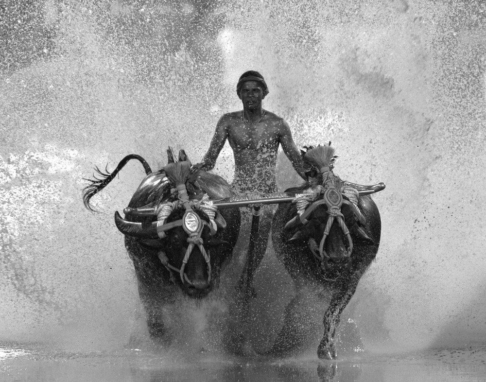 Photograph by Ranjith Kumar