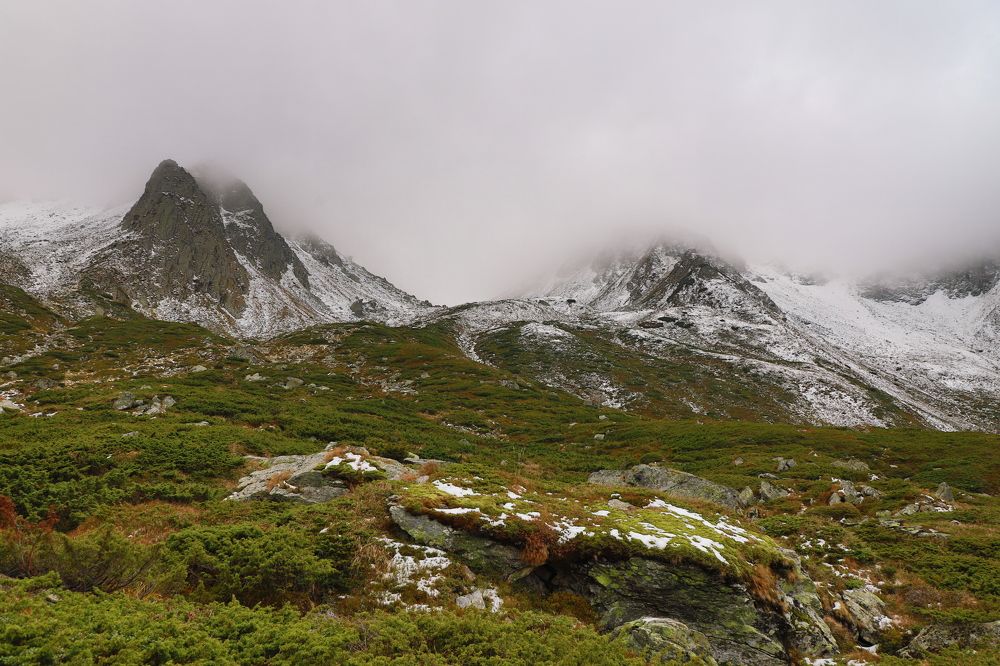 Photograph by Popa Alin