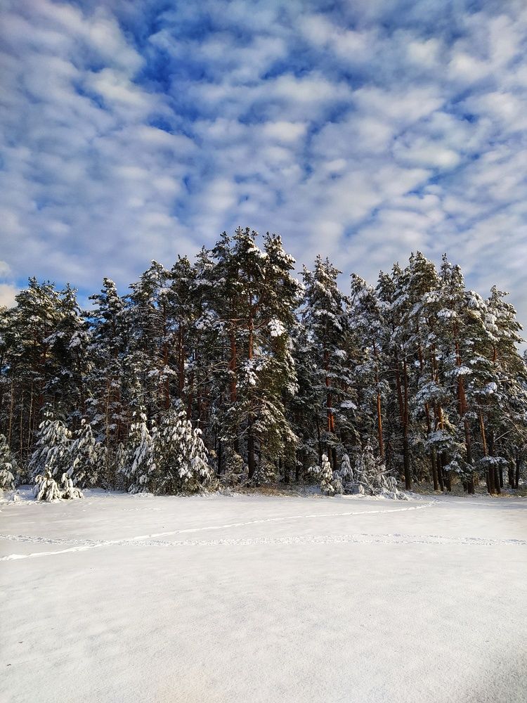 Photograph by Олеся Бронзова