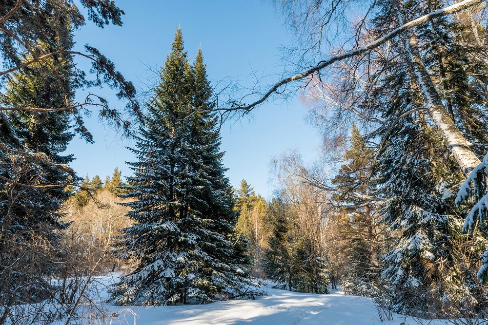 Photograph by Игорь Боголюбов