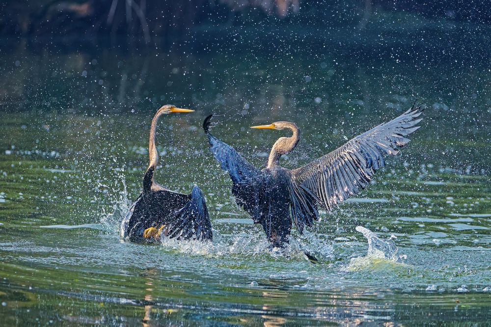 Photograph by Dhruv Shilpi