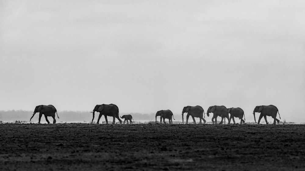 Photograph by Ranjith Kumar