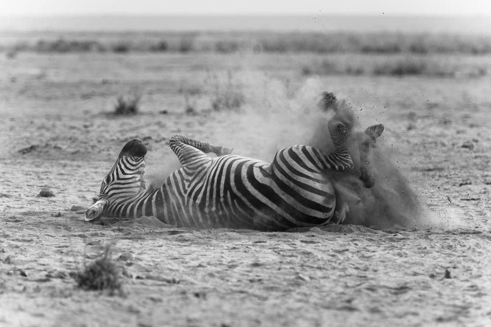 Photograph by Ranjith Kumar