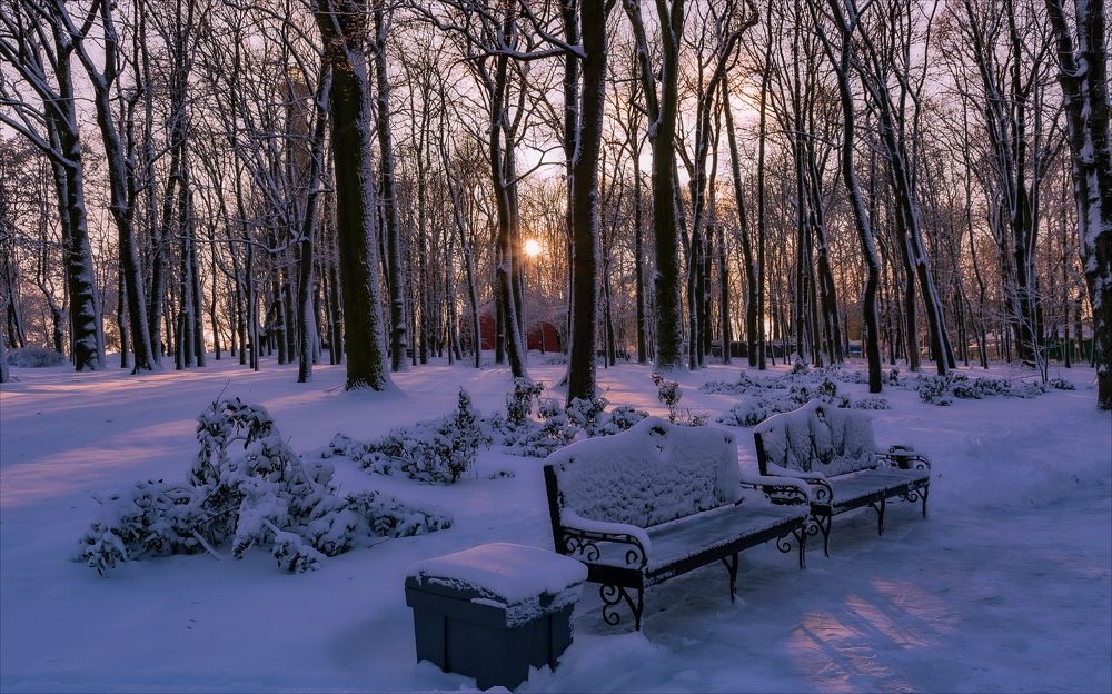 Photograph by Олег Григорьев