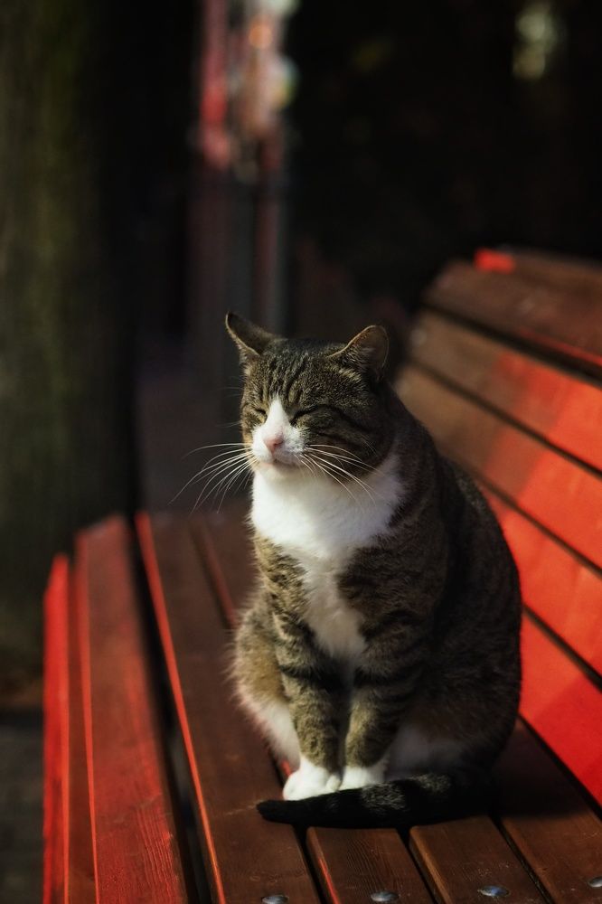 Photograph by Анастасия Кочетова