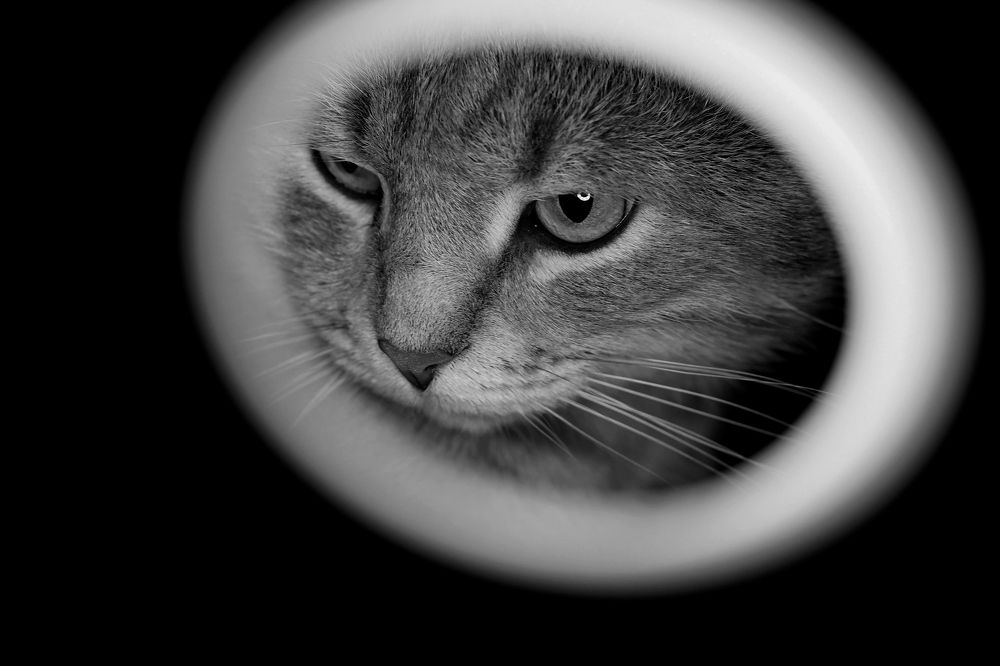 Photograph by Константин Рубис