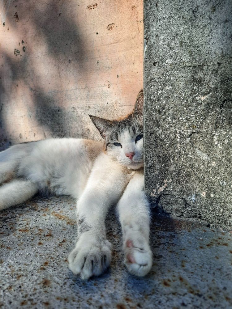 Photograph by Анастасия Кочетова