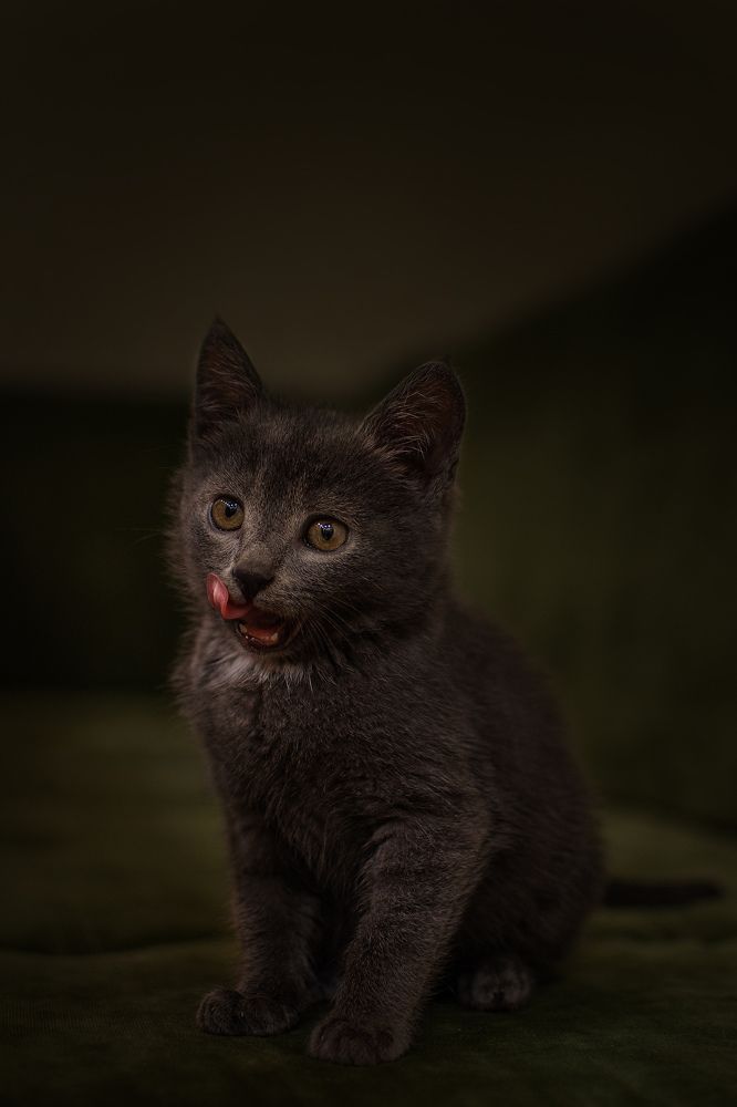 Photograph by Наталья Золотарева