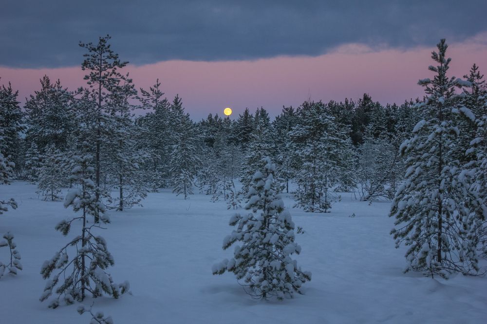 Photograph by Юлия Крюкова