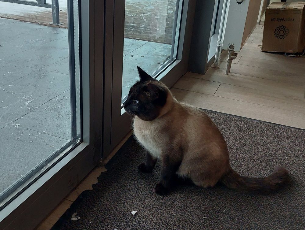 Photograph by Елена Тимченко