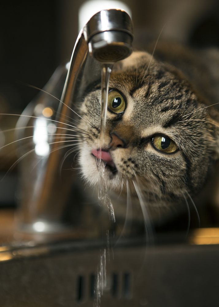 Photograph by Владимир Остапенко