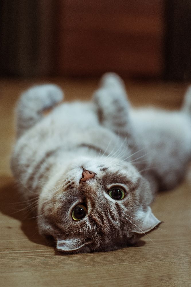 Photograph by Наталья Золотарева