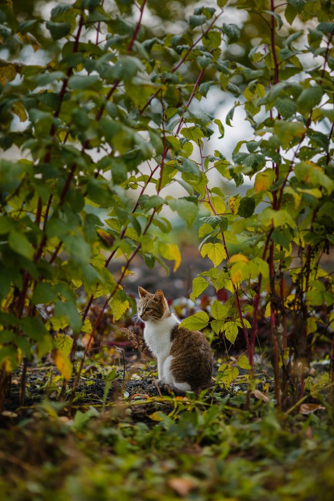 Photograph by Эля Булыгина