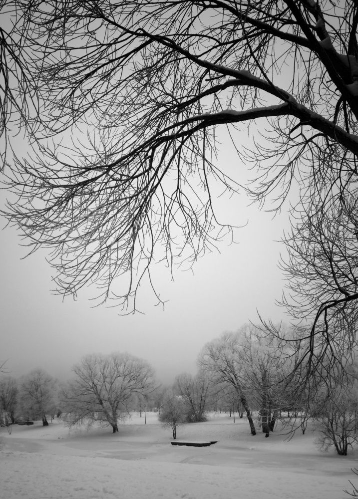 Photograph by Надежда