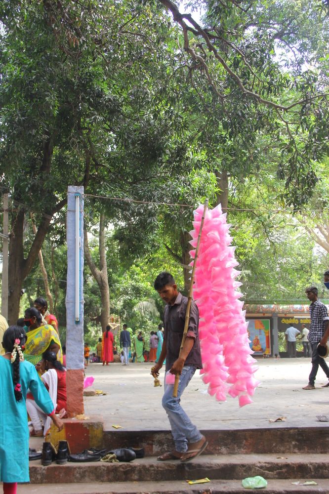 Photograph by SIVAMOORTHY VELMURUGAN