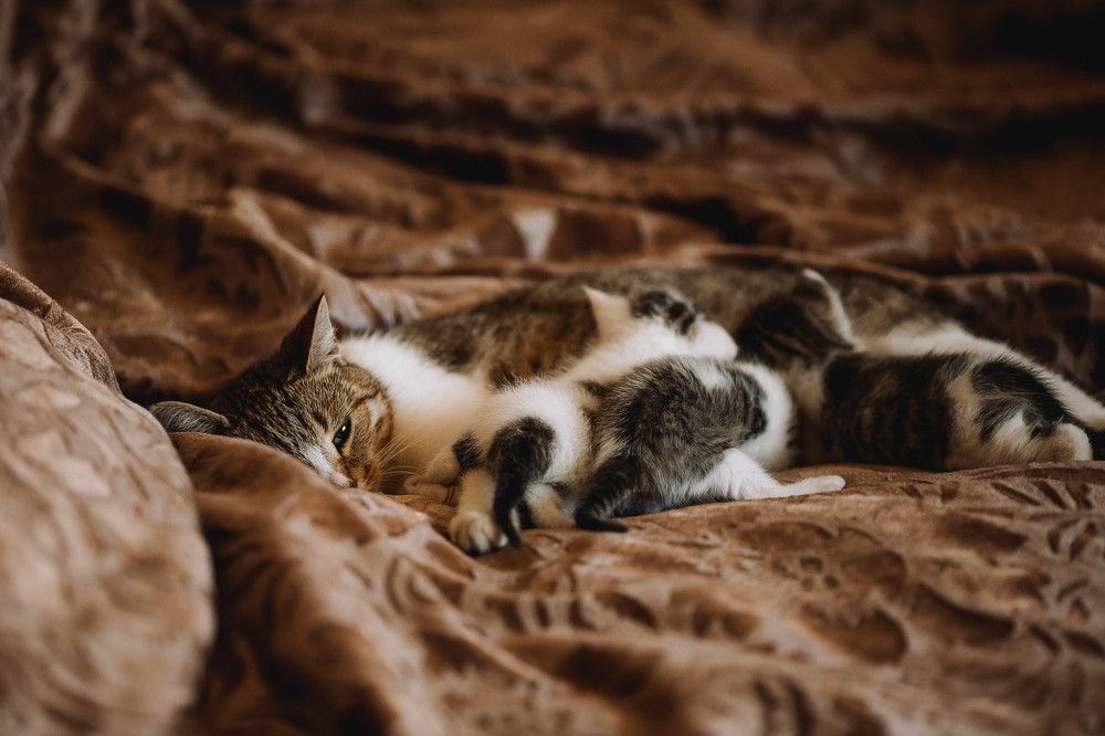 Photograph by Эля Булыгина