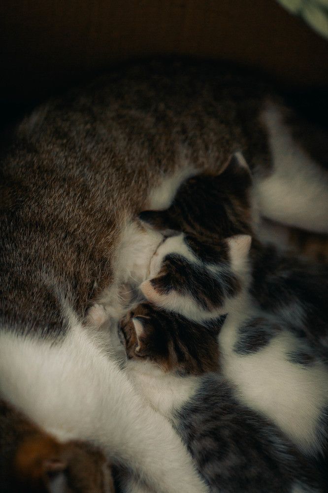 Photograph by Эля Булыгина