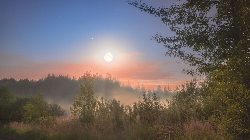 Photograph by Victoria Popkova