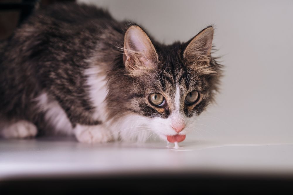 Photograph by Фёдорова Анастасия