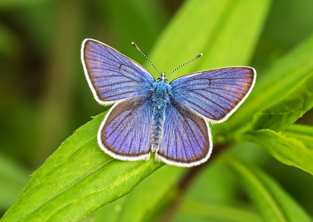 Photograph by Борис Новиков