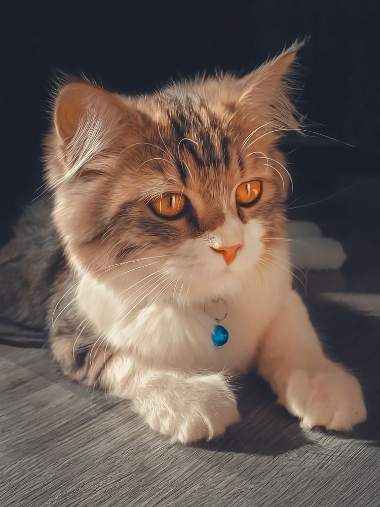 Photograph by Huy Văn Nguyễn